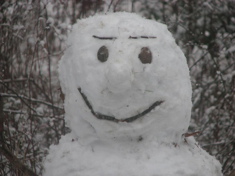2008-12-07_First_Snow 046.jpg